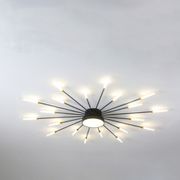 Lowry  Moderne Vuurwerk LED Plafondlampen Zwart Goud Woonkamer - afbeelding 11 | Noma Lighting