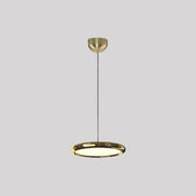 Welsh Minimalistisch Cirkel LED Hanglamp Metaal/Acryl Silver/Goud/Roségoud Slaap/Woon/Eetkamer - afbeelding 8 | Noma Lighting